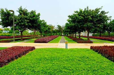 绿满邕城 南宁园林绿化、庭院美化与专业工程服务的全方位解析