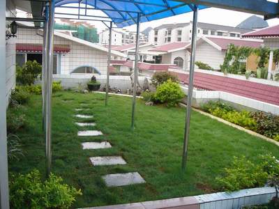 屋顶绿化工程 技术与生态价值的融合