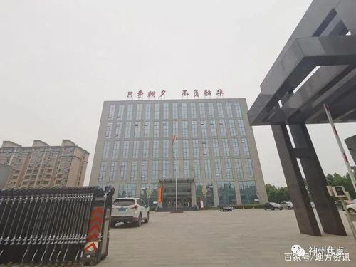 河北武安 邯武快速路绿化招标滞后引发的反思