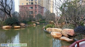 精品园林奖金奖项目 和协·风格尚品室外景观及绿化工程的艺术与匠心